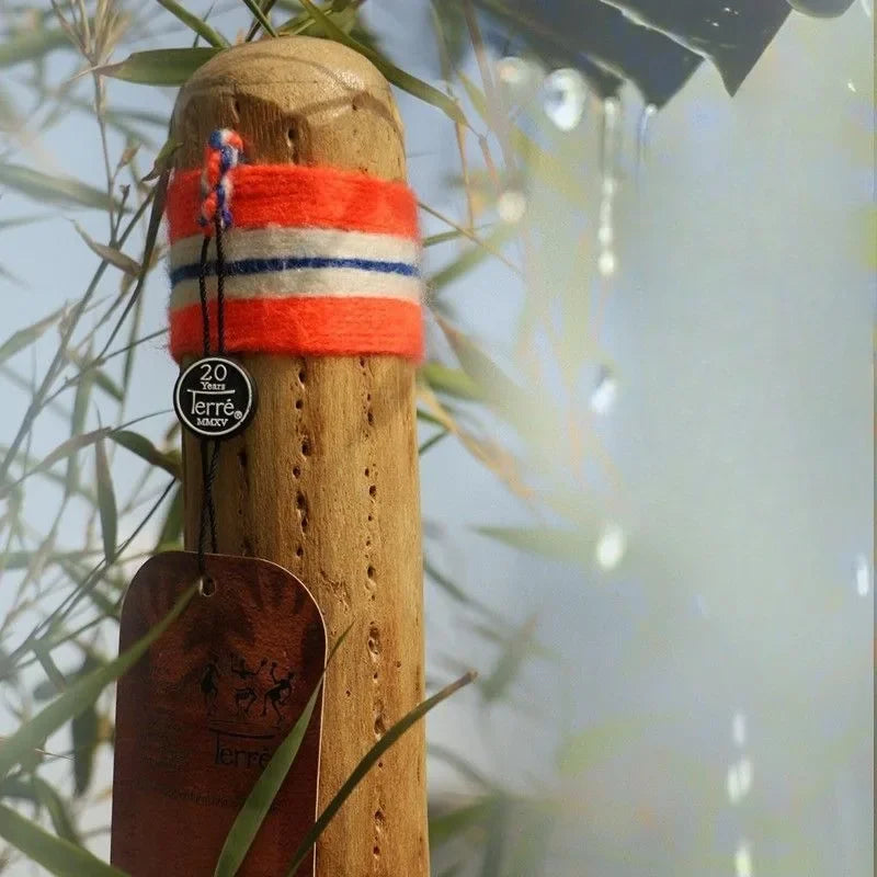Rain stick